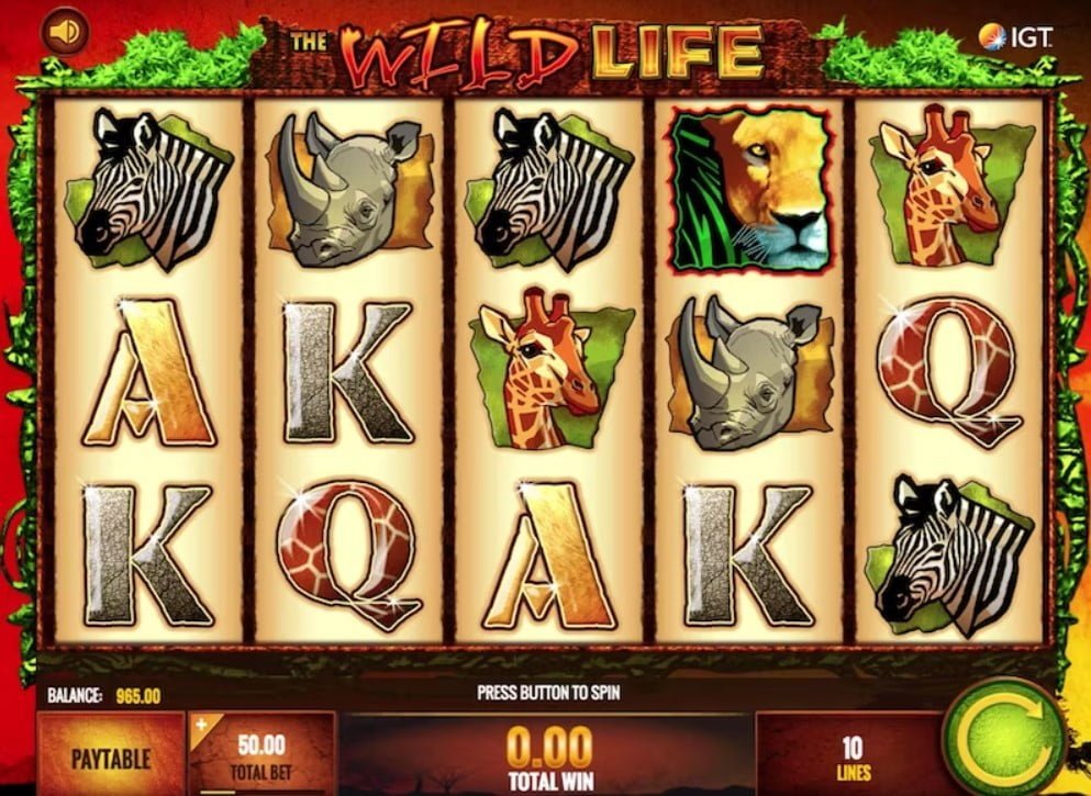 Wild Life Slot Machine Review 2