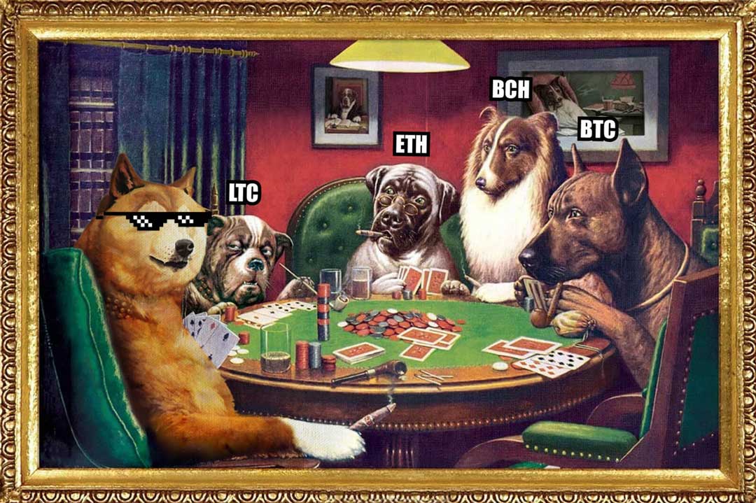 Best Dogecoin Casinos – Top Doge Gambling Sites Online for Big Wins 2024 2